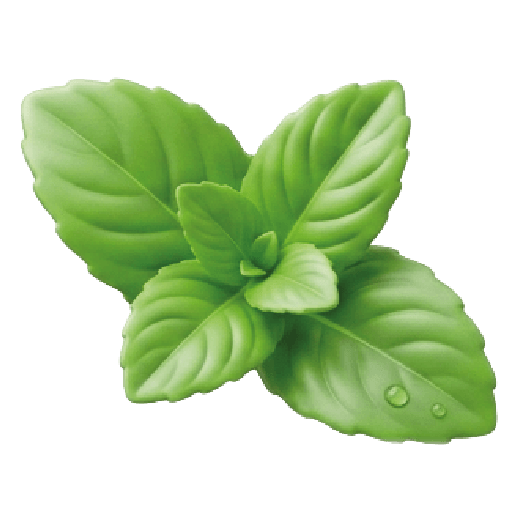 Menta